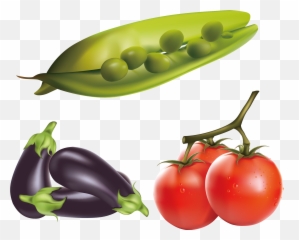 Clipart Vegetables Fresh Vegetable - Eggplant Clip Art Emoji,Find The Emoji Tomato