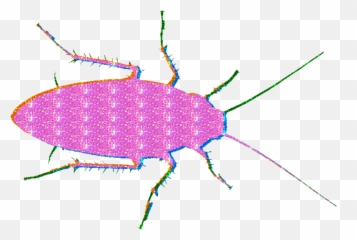 Roach Glitter Mine Lol Glitterroach - Ground Beetle Emoji,Roach Emoji