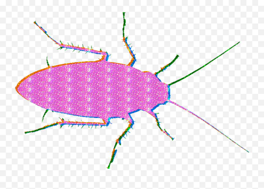Roach Glitter Mine Lol Glitterroach - Ground Beetle Emoji,Roach Emoji