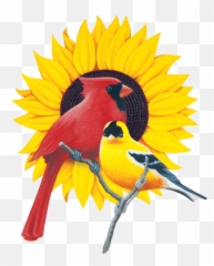 Emoji Transparent Png Clipart - Healthy Lifestyle Is Important,Oriole Emoji