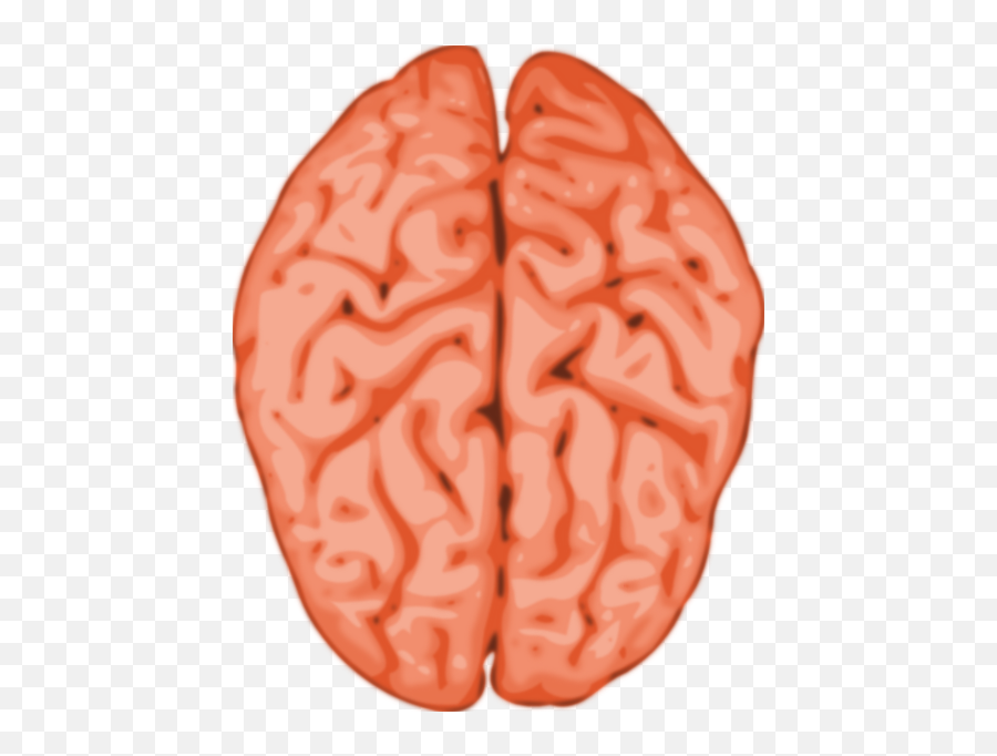 Brain Free To Use Clipart 2 - Brain Clip Art Emoji,Emoji Brain