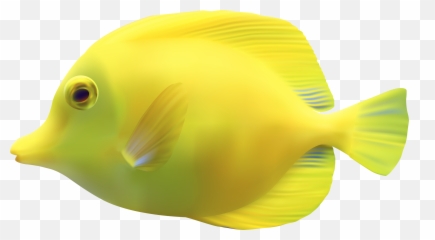 Tropical Fish Transparent Png Clipart - Emoji