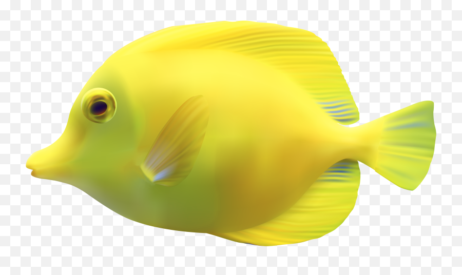 Tropical Fish Transparent Png Clipart - Fish Png Emoji,Skull Fish Fish Emoji