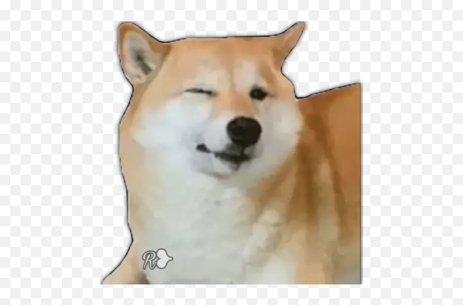 Dogs 1 Stickers For Whatsapp - Sodkie Pieski Na Podryw Emoji,Shiba Inu Emoji
