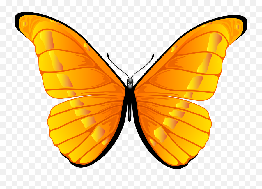 Orange Butterfly Clipart Png - Butterfly Clipart Png Emoji,Butterfly Emoji Png