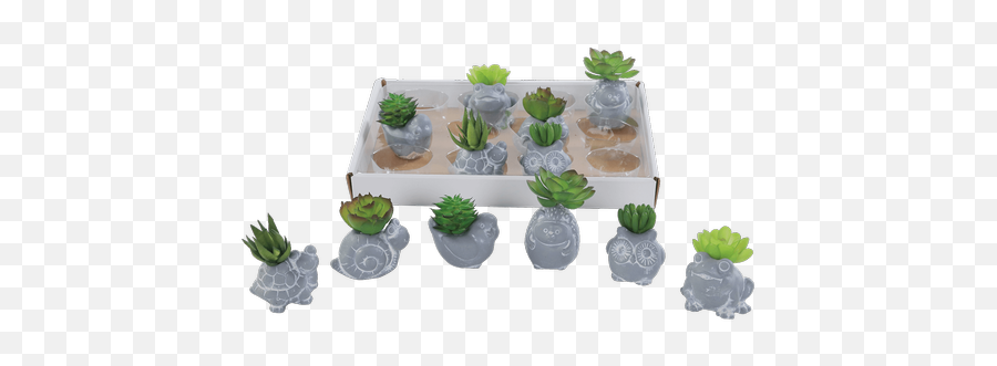 Gifts Royeru0027s Flowers And Gifts - Flowers Plants And Fruit Emoji,Succulent Emoji
