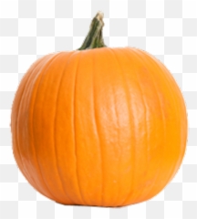 Pumpkin Png - Pumpkin Fruit Emoji,Pumpkin Pie Emoji