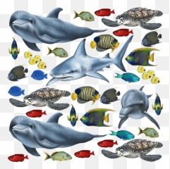 Stock Images Of Tropical Fish Png - And Sea Creatures Emoji
