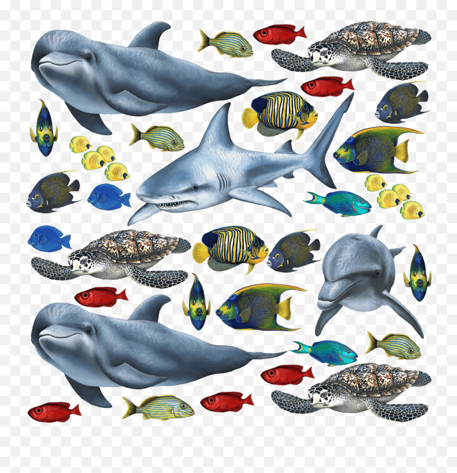 Stock Images Of Tropical Fish Png - Fish And Sea Creatures Emoji,Tropical Fish Emoji