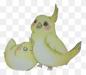 Birds Cockatiel Aquarela Watercolor - Cockatiel Emoji,Cockatiel Emoji