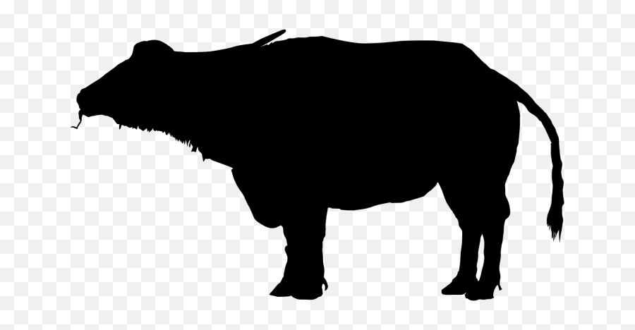 Water Buffalo Bison Silhouette Clip Art - Buffalo Silhouette Png Emoji,Bison Emoji