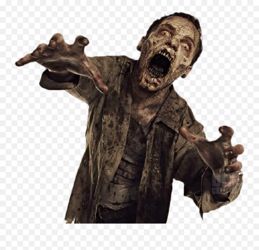 Twd Thewalking Dead Amc Rickgrimes - Zombie Transparent Background Emoji,Twd Emoji