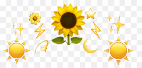 Crown Sunflower Emoji Freetoedit - Sunflower,Sunflower Emoji