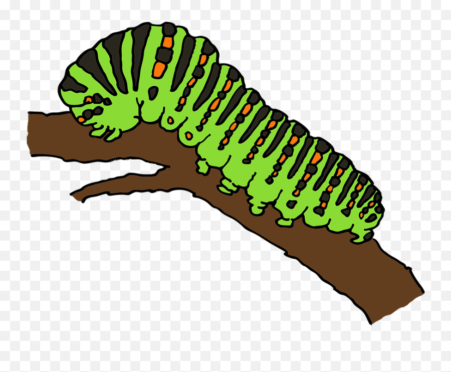 Free Caterpillar Worm Illustrations - Butterfly Caterpillar Clipart Emoji,Clam Emoji