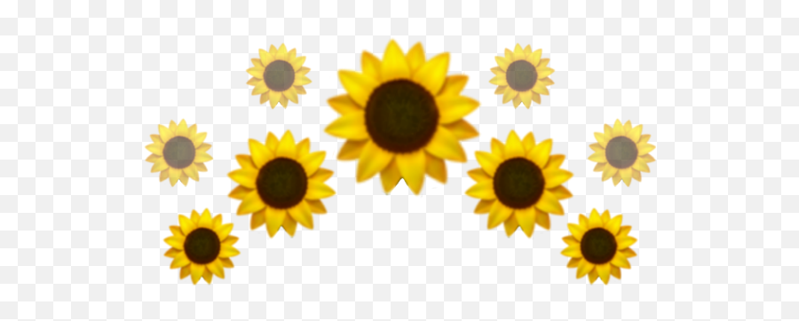 Emoji Girasol Crown Iphone Emojisticker - Sunflower Emoji Crown,Flower Emoji Iphone