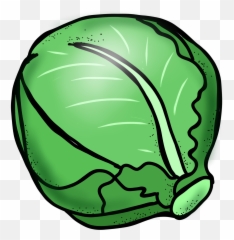 Lettuce Clipart Black And White Free - Cabbage Emoji