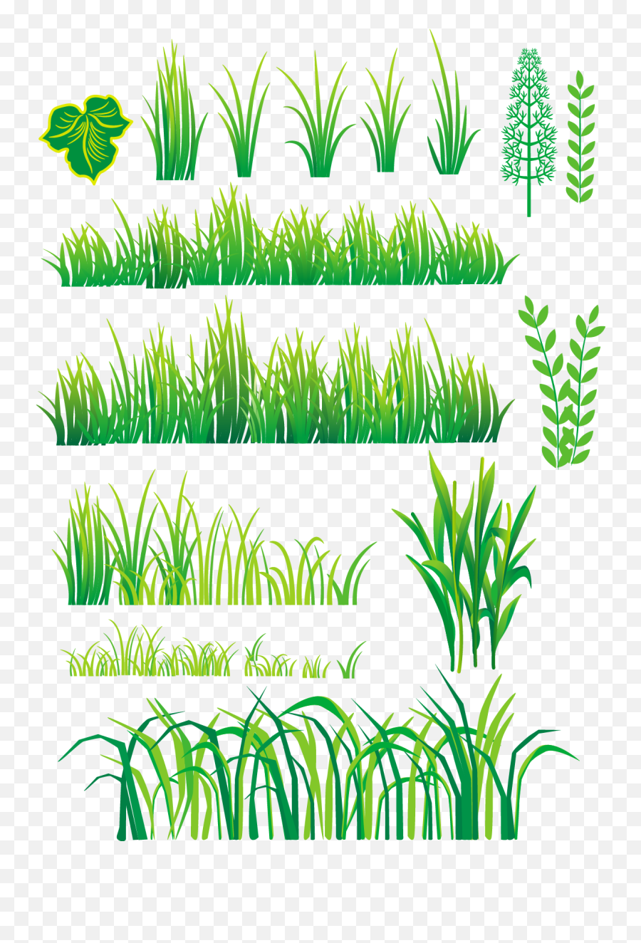 Bamboo And Grass Plant Vector - Capim Desenho Png Vector Graphics Emoji,Bamboo Emoji