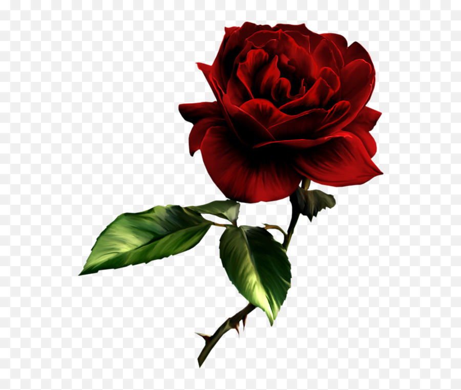 Free White Rose Transparent Download - Dark Red Rose Png Emoji,White Rose Emoji