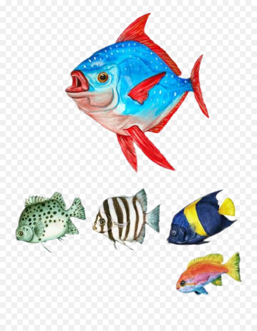 Fish Fishes Tropicalfish Fishy - Watercolor Painting Emoji,Tropical Fish Emoji