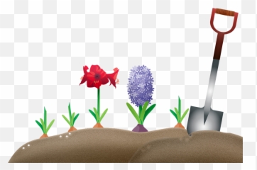 Garden Dirt Bulbs - Hyacinth Emoji