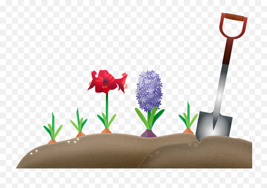 Garden Dirt Bulbs - Hyacinth Emoji,Garden Hoe Emoji - free transparent