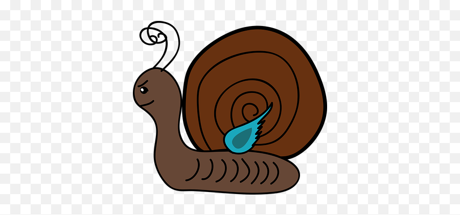 80 Free Slow U0026 Snail Illustrations - Pixabay Door Snail Shell Clip Art Emoji,Snail Emoji