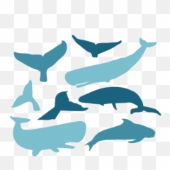 Viewing Svg Whale Picture - Tale Silhouette Png Emoji