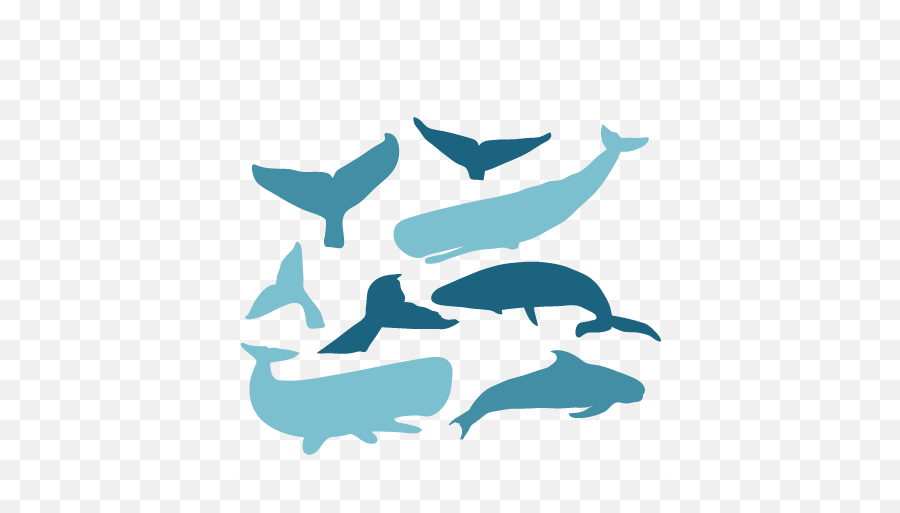 Viewing Svg Whale Picture - Tale Whale Silhouette Png Emoji,Free And Whale Emoji