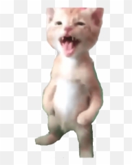 Mi Pana Miguel - Mi Pana Miguel Png Emoji,Emoticones De Amor Para Whatsapp