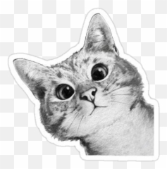 Cat Kitty Greyaesthetic Sticker - Cute Drawings Of Black And White Cats Emoji