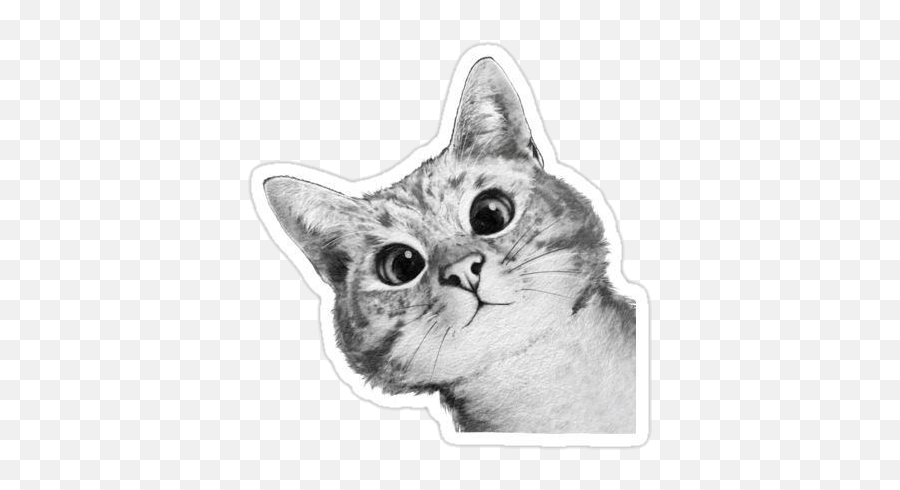 Cat Kitty Greyaesthetic Grey Sticker - Cute Drawings Of Black And White Cats Emoji,Grey Cat Emoji