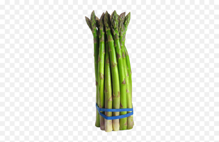 Transparent Png And Vectors For Free Download - Dlpngcom Asparagus Png Emoji,Asparagus Emoji