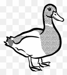 Black And White Duck - Goose Clip Art Black And White Emoji,Donald Duck Emoji