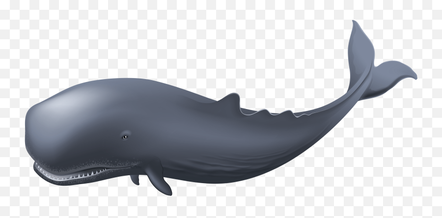 Whale Clipart - Whale Png Emoji,Emoji Free Whale