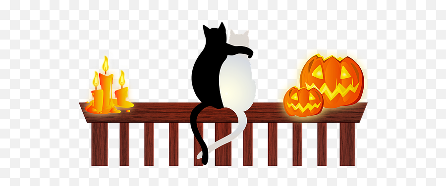 80 Free Halloween Black Cat U0026 Halloween Illustrations - Pixabay Chat Halloween Emoji,Cheshire Cat Emoji