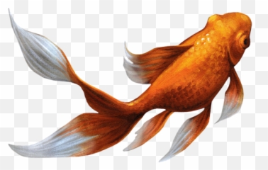 Fish - Sticker By Silver Bullet Png Poisson Emoji,Fish Hook Emoji