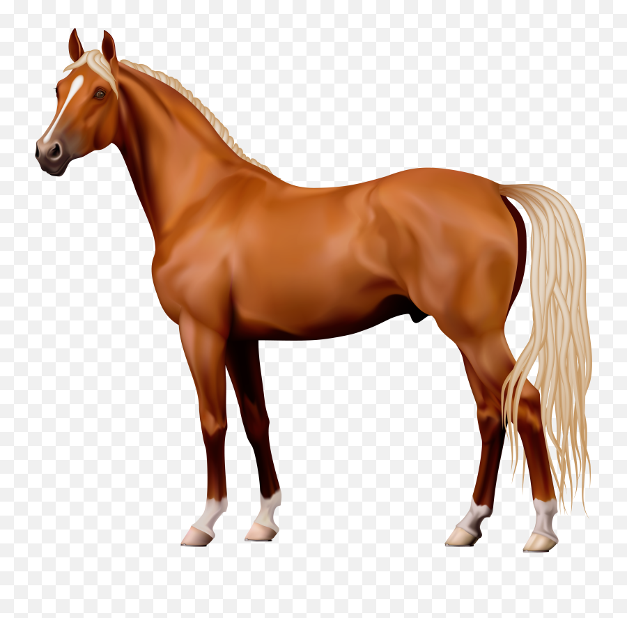 Clipart Horse Png - Transparent Background Horse Clipart Emoji,Emoji Horse Plane