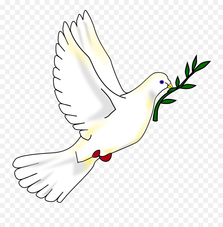 Png Peace Dove Free Peace Dove - Dove With Olive Branch Transparent Emoji,Dove Emoji