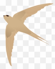 Asian Palm Swift - Gambar Logo Burung Walet Emoji,Asian Emoji