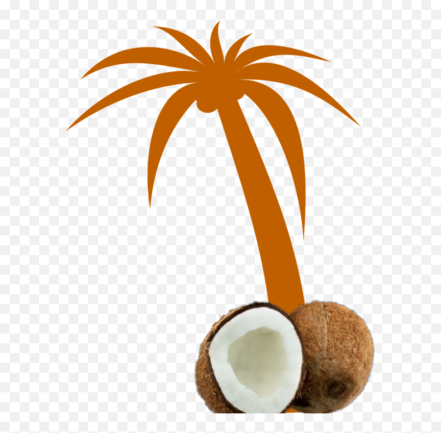 Mq Orange Palmtree Palm Coconut - Palm Tree Non Copyright Emoji,Palm ...
