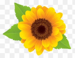 Sunflower Clip Art Clipartix - Clipart Transparent Background Sunflower Emoji,Sunflower Emoji