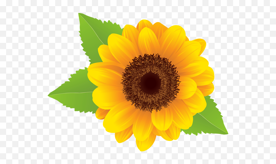Sunflower Clip Art Clipartix - Clipart Transparent Background Sunflower Emoji,Sunflower Emoji