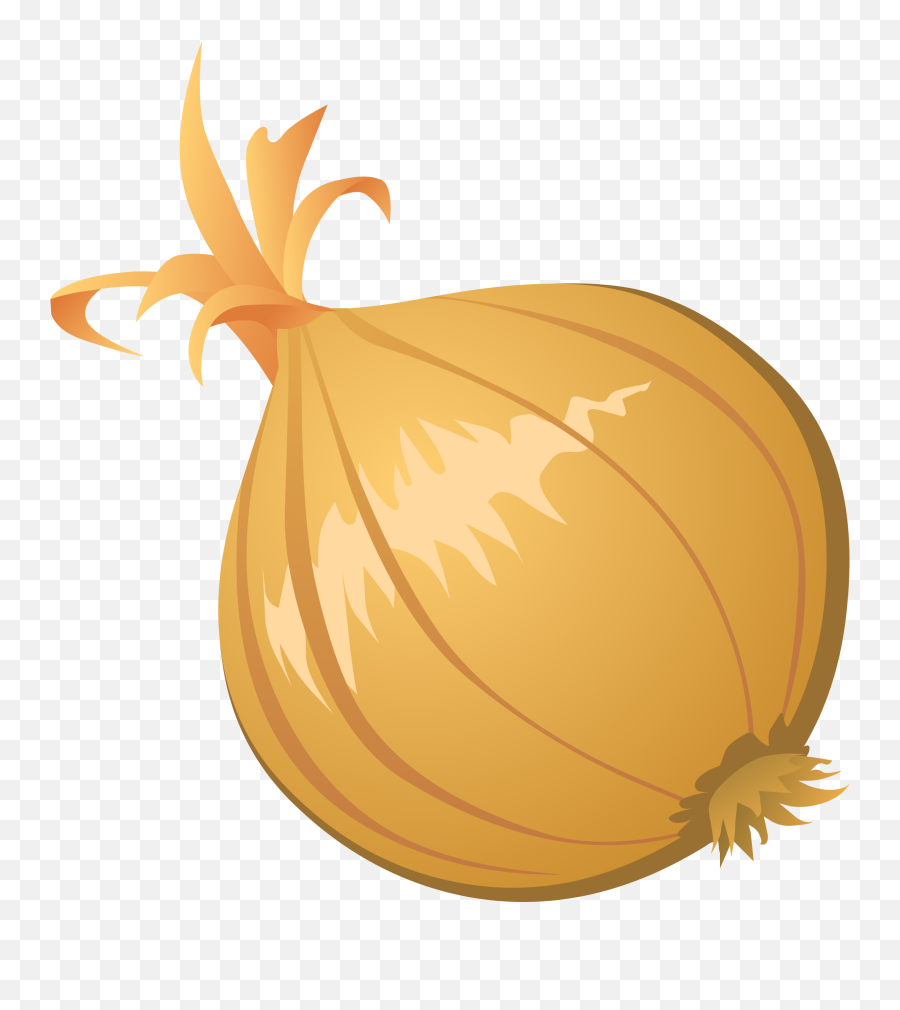Drawing Vegetable Onion Transparent - Onion Clip Art Emoji,Onion Ring Emoji