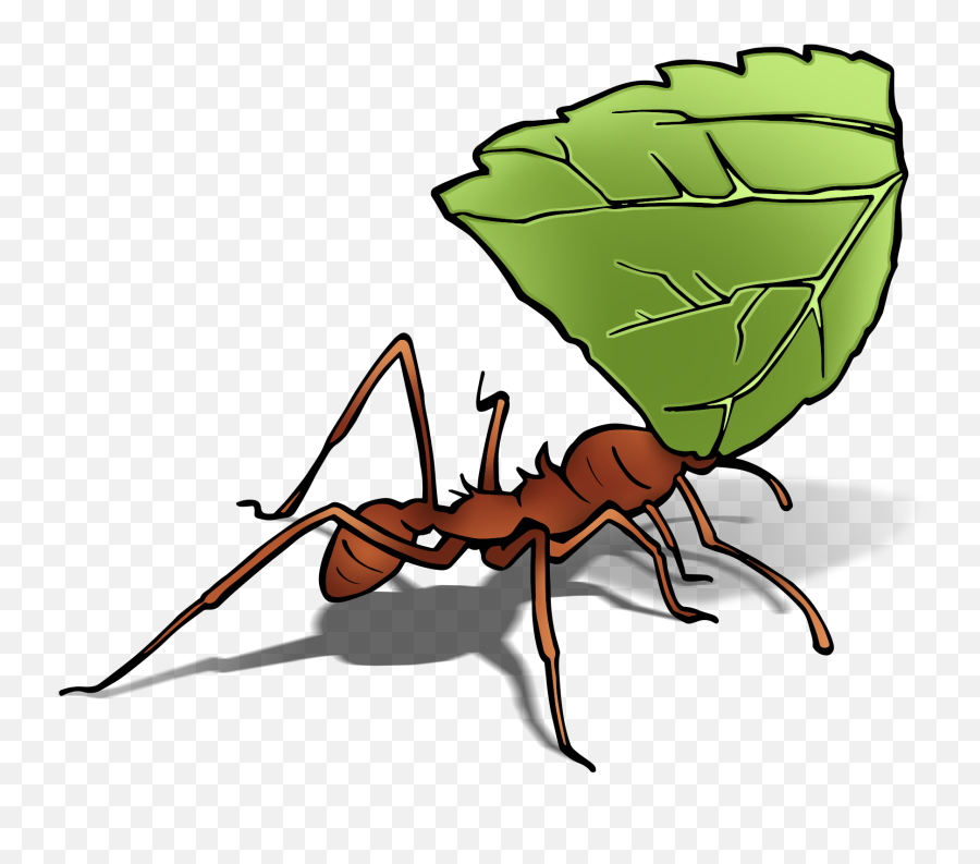 Perfect Earth - Cartoon Emoji,Ant Emoticon