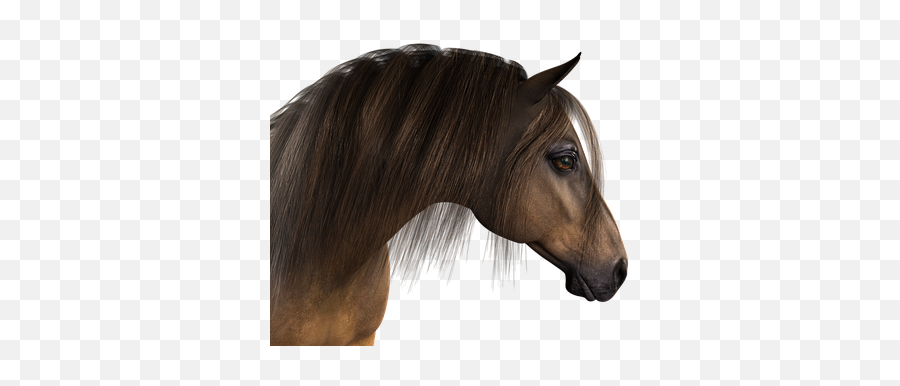 4000 Free Head U0026 Skull Illustrations - Pixabay Horse Head Emoji,Hand Horse Horse Emoji