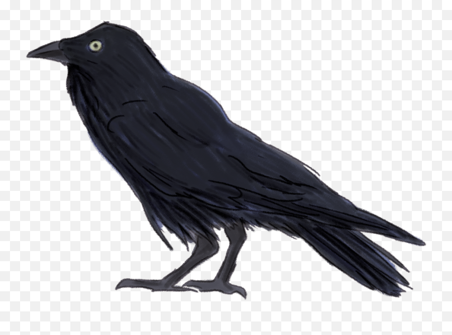 Download Forest - Raven Emoji,Raven Bird Emoji