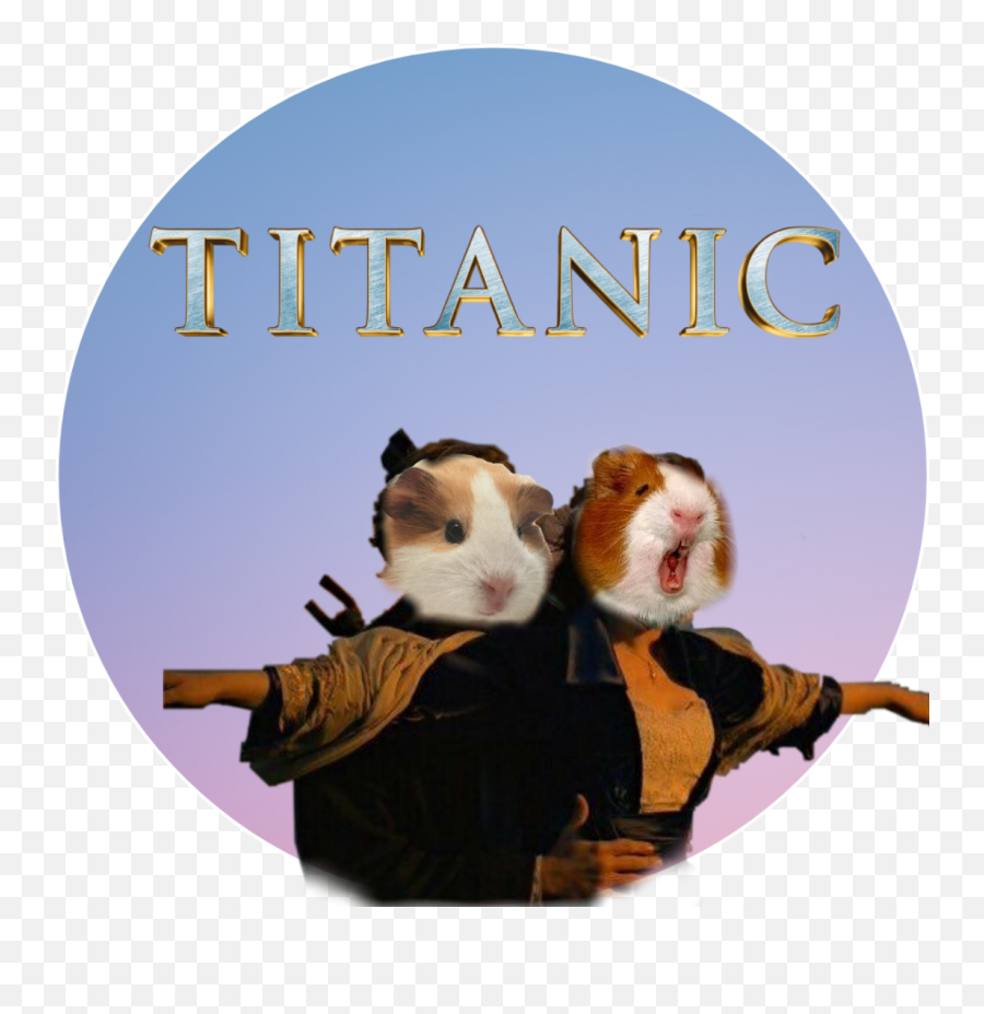 Guinea Pig Sticker Challenge - Inde I Titanic Emoji,Guinea Pig Emoji