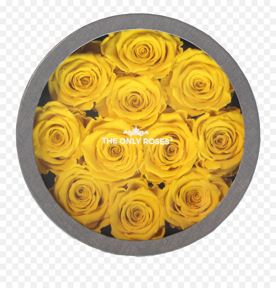Yellow Preserved Roses - Legion Warszawa Emoji,Roses Emoticon