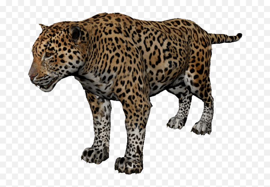 Jaguar Cars British Shorthair Bigstock Stock Photography - Green Hell Logo Transparent Emoji,Leopard Emoji