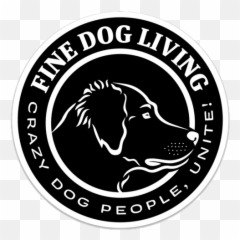 Best Dog Names Of All Time - Dog Catches Something Emoji,Roo Panda Emoji